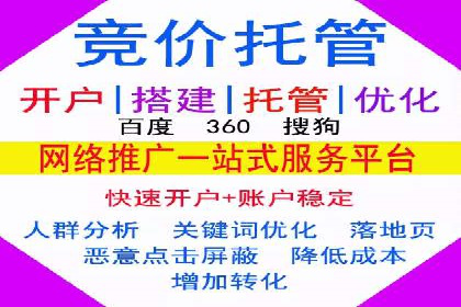 竞价推广策略：某电商平台的成功之路