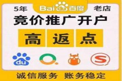 低成本高回报：百度竞价代理成功案例分析